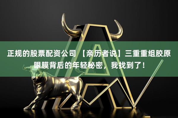 正规的股票配资公司 【亲历者说】三重重组胶原眼膜背后的年轻秘密，我找到了！